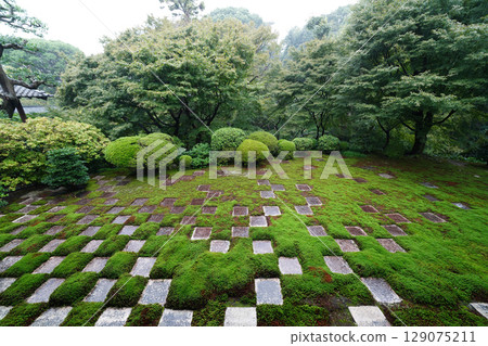 東福寺本殿的格紋苔園林景觀十分美麗 129075211