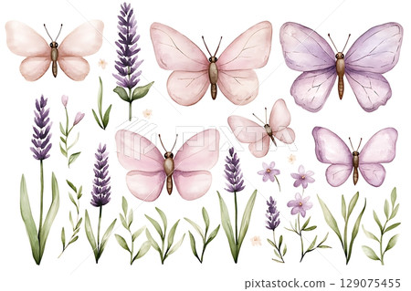 Watercolor Butterflies and Lavender Illustrations for Elegant Design Projects 129075455