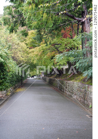 東福寺週邊風景 東福寺週邊風景 129075462