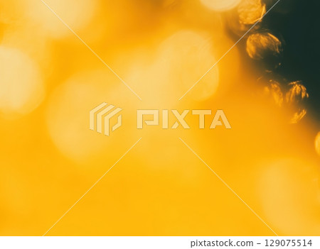 Bright sunlight creates a warm, golden glow in a peaceful outdoor setting during late afternoon 129075514