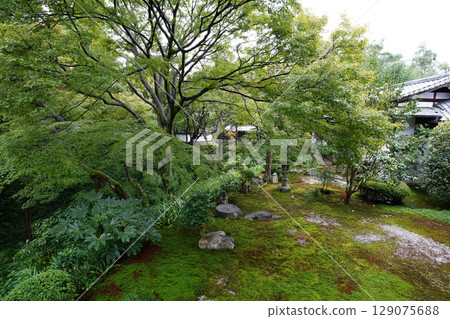 東福本舖花園景觀 東福本舖花園景觀 129075688