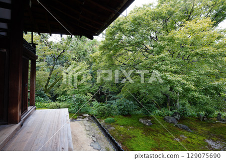 Landscape of Tofukuji Honbo Garden Landscape of Tofukuji Honbo Garden 129075690