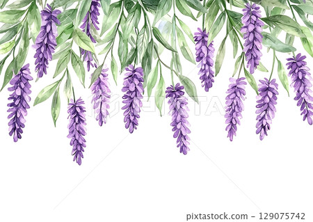 Elegant Purple Wisteria Flowers with Green Leaves in a Beautiful Watercolor Style Background 129075742