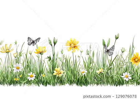 Vibrant Wildflower Meadow with Butterflies and Lush Green Grass on White Background 129076078