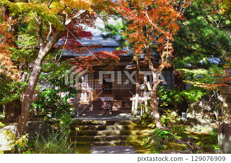鎌倉覺園寺的美麗秋葉（神奈川縣鎌倉市） 129076909