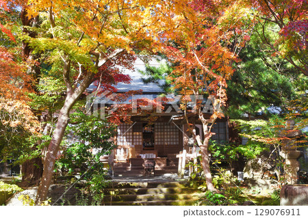 Beautiful autumn leaves at Kakuonji Temple in Kamakura (Kamakura City, Kanagawa Prefecture) 129076911