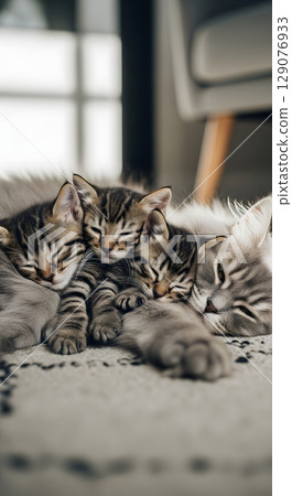 A cat to take a nap 129076933