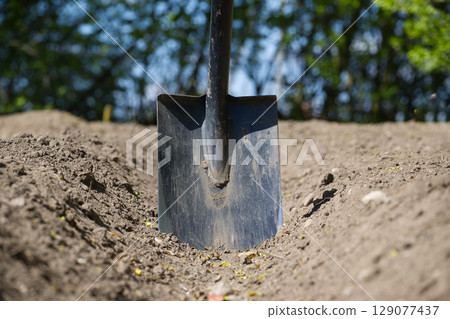 Close-up shot of a shovel standing in freshly tilled earth ready for planting season. Close-up shot of a shovel standing in freshly tilled earth ready for planting season. 129077437
