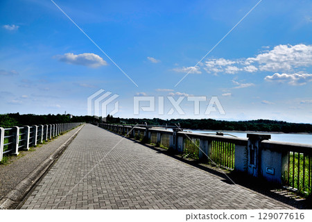 Saitama Prefecture, artificial lake, Lake Sayama 129077616