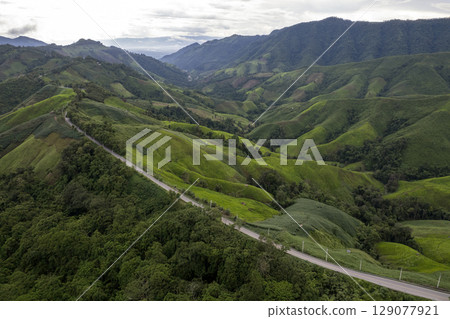 Aerial view of road in beautiful green forest at sunset in spring. Colorful landscape Aerial view of road in beautiful green forest at sunset in spring. Colorful landscape 129077921