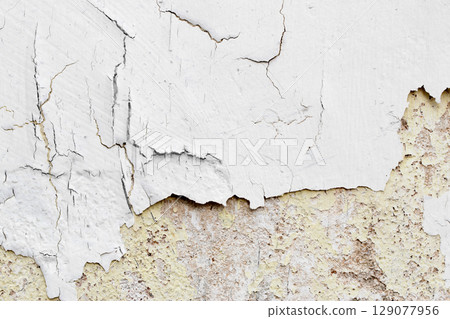 Light Gray Stucco Wall Texture. Abstract Background 129077956