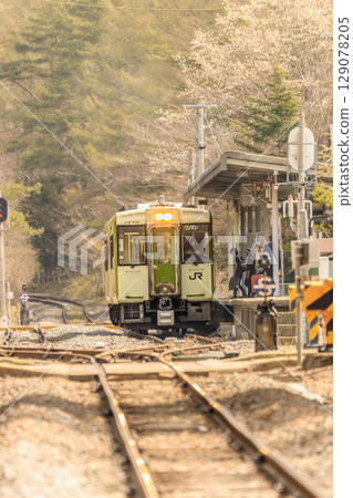 Soft spring air and a train on the Koumi Line 129078205