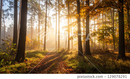 Autumn leaves Autumn generation AI background 129078291