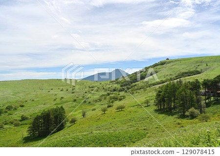 長野縣車山高原的夏日天空和綠色植物 129078415