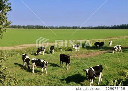 內體高原農場（北海道上士幌町） 129078436