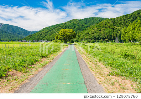滋賀縣高島市牧野町千內川沿岸自行車道 129078760