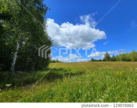 Hiking trail towards Piatra lui Lucaci with green meadow and blue sky on a beautiful summer day. Tarnita, Cluj, Romania Hiking trail towards Piatra lui Lucaci with green meadow and blue sky on a beautiful summer day. Tarnita, Cluj, Romania 129078862