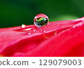 Rain jewelry 129079003
