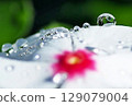 Rain jewelry 129079004