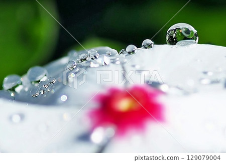 Rain jewelry Rain jewelry 129079004