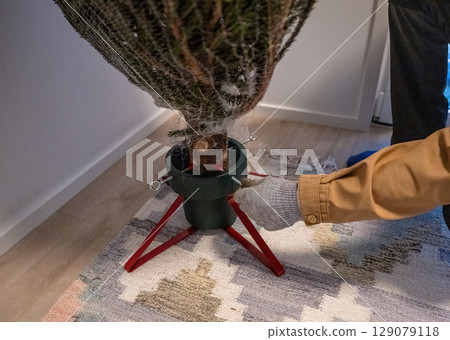 Person securing Christmas tree in stand at home, holiday preparation concept Person securing Christmas tree in stand at home, holiday preparation concept 129079118