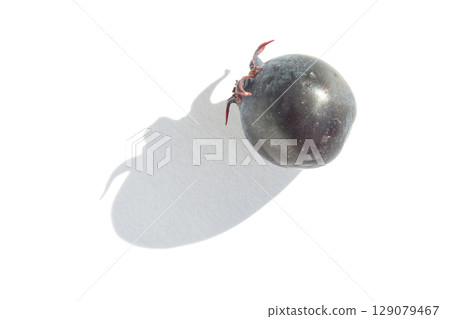Close up of single black grape with shadow on white background 129079467