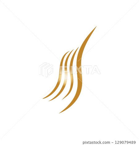 hair wave logo vector illustration design hair wave logo vector illustration design 129079489
