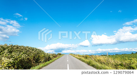 A refreshing view of Hokkaido in summer under a clear blue sky A refreshing view of Hokkaido in summer under a clear blue sky 129079864