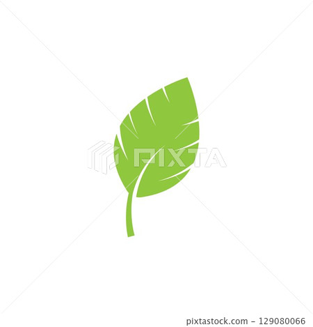 Logos of green Tree leaf ecology nature element vector 129080066