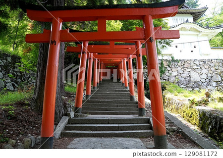 Hyogo, Izushi, Izushi Castle, Torii gate and stairs leading to Inari Shrine (early summer) 129081172