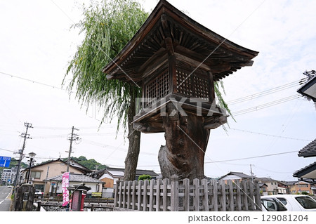 兵庫縣出石市鶯龍燈籠（初夏） 129081204