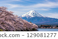 Superb view of Mount Fuji and cherry blossoms 129081277