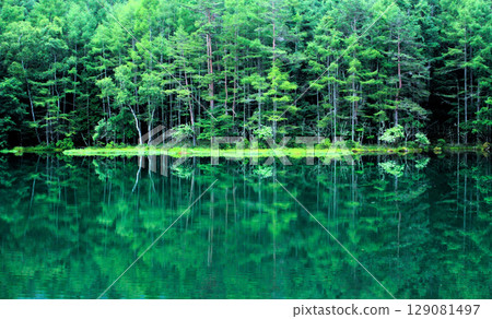 Mysterious Mishaka Pond Mysterious Mishaka Pond 129081497