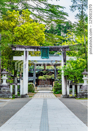 山形縣上杉神社參道上的鳥居 129081970