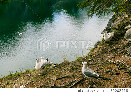 Landscape of the mountain park Ruskeala in the Republic of Karelia 129082368