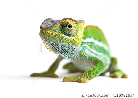 Colorful chameleon on white background. AI-generated item Colorful chameleon on white background. AI-generated item 129082634