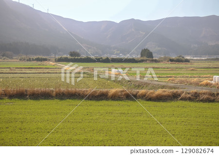 March 25 2025 Peaceful Urban Landscape with a River and Surrounding Architecture, Japan 129082674