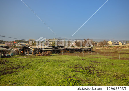 March 25 2025 Peaceful Urban Landscape with a River and Surrounding Architecture, Japan 129082685