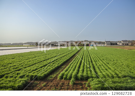 March 25 2025 Peaceful Urban Landscape with a River and Surrounding Architecture, Japan 129082728