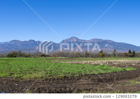 A landscape painting of the majestic Yatsugatake Mountains seen from a ranch in Nobeyama 129083279