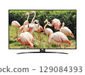Smart tv with group birds of pink flamingos on screen 129084393