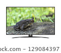 Smart tv with frog on screen 129084397