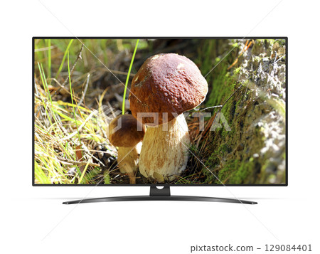 Smart tv with two mushrooms in forest on screen Smart tv with two mushrooms in forest on screen 129084401