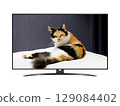 Smart tv with tricolor cat on screen 129084402