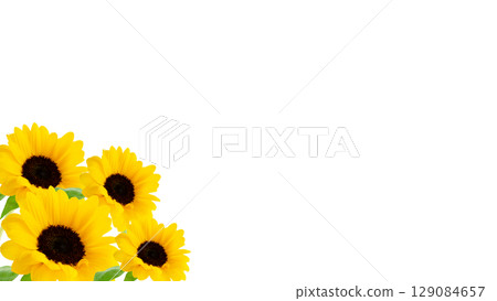 Yellow sunflower flower corner material background, photo image frame, cutout, transparent PNG 129084657