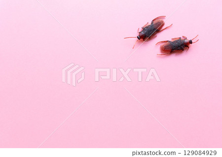 Cockroach toy on pink background 129084929