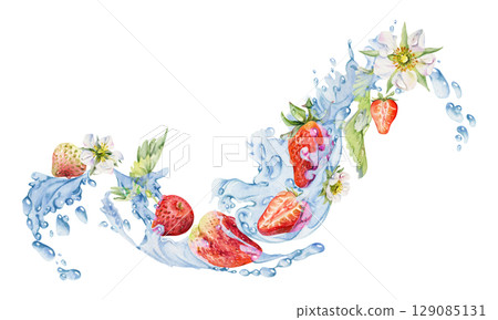 Strawberry ripe garden berries flowers leaves flying in water splash, fresh pineberry strasberry snakeberry, wet moist dew drops. Isolated illustration hand drawn in watercolor. Drink, grocery package Strawberry ripe garden berries flowers leaves flying in water splash, fresh pineberry strasberry snakeberry, wet moist dew drops. Isolated illustration hand drawn in watercolor. Drink, grocery package 129085131
