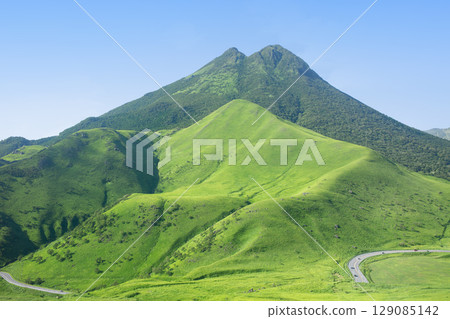 Fresh greenery at Yufuin Yufudake 129085142