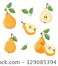 Set of orange pears with leaves 129085394