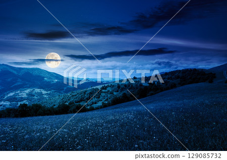mountain landscape with wide meadow in summer at night. sky with dark clouds. grass on the pasture rolling through hills in countryside scenery to distant alpine valley in full moon light mountain landscape with wide meadow in summer at night. sky with dark clouds. grass on the pasture rolling through hills in countryside scenery to distant alpine valley in full moon light 129085732
